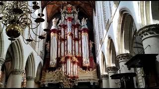 Haarlem.Organ Müller. St. Bavo Church -NL-.