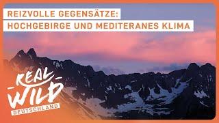 Einmaliges Paradies in der Schweiz: Tessin | Doku | Real Wild Deutschland