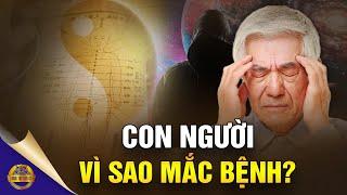 Con Người Vì Sao Mắc Bệnh? Làm Được 3 Điều Này Thì Có Thể Sống Lâu - Đông Tây Kim Cổ