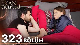 Kan Çiçekleri 323. Bölüm