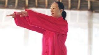 Easy qigong exercises for beginners  -  What To Do In Auroville  [Ping Shuai Gong]