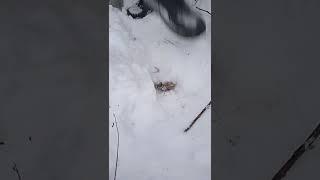 добыча алюминия