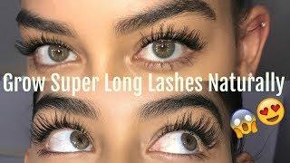 HOW TO GROW YOUR LASHES NATURALLY