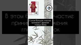 #мир #дао #даолюбви #женщина #девушка #философия #женщины #книги #книгаперемен #книга #любовь