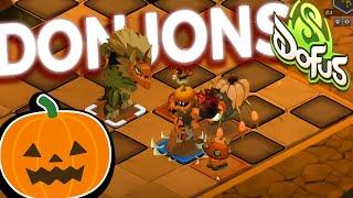 Les Donjons TERRIFIANTS | HUZ VOD DOFUS