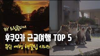 후쿠오카 근교 당일치기 여행지 TOP 5 #후쿠오카여행 가이드