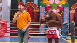 Monkey show, Safari World Thailand