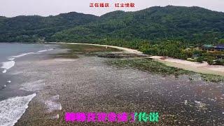 伤感歌曲《酒醉的蝴蝶》《红尘情歌》《真的好想你》《迟来的爱》.aud