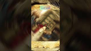 داستان مولانا در مثنوی معنوی|#حکایت|#shorts
