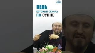 Пень, который скучал по сунне Пророка ﷺ | Абу Яхья Крымский