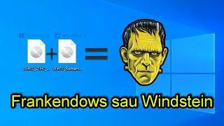 Windows 11 Frankenstein STICK universal compatibil - hibrid intre Windows 10 si 11