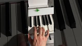 Научись играть свадебный марш за 10 секунд! 