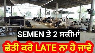 semen subsidy schemes punjab govt