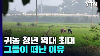 귀농 청년 역대 최대...'그들이 농촌으로 떠난 이유?' / YTN