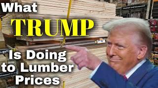 Trump is Already Impacting Lumber Prices - What it All Means for the Future of Lumber and the Forest