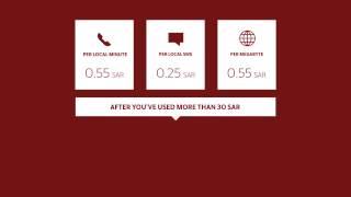 Virgin Mobile Prepaid plan