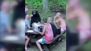 Oso negro convive con familia durante picnic