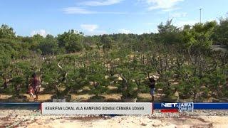 NET. JATIM - KAMPUNG BONSAI