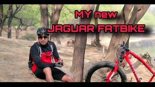 Jaguar Fat Bike  | lets buy a fatbike that matches my jersey