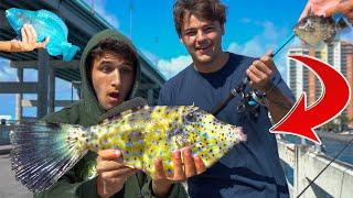 We CAUGHT A TON Of EXOTIC FISH!!