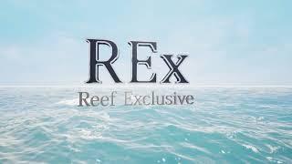 Marine fish adaptation from Reef Exclusive.