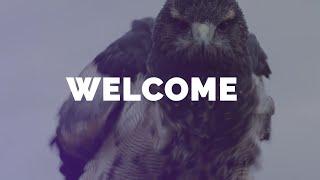 Welcome to Falconry And Me