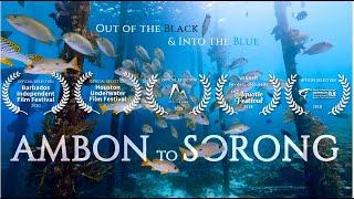 Chapter #10: AMBON to SORONG. Out of the Black & Into the Blue | NA-GH5 | Nauticam Housing |