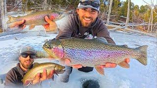 ICE FISHING REMOTE MOUNTAIN LAKES for GIANT TROUT!! (CATCH & COOK)