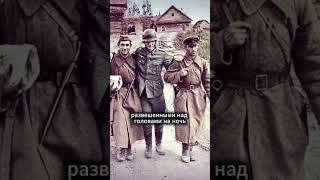 Почему Немецкие солдаты не любили Татар? #shorts