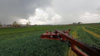 Mowing Hay in the Rain