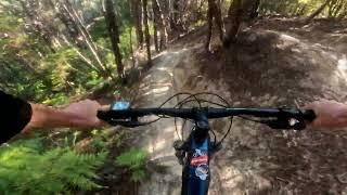 Remedy @ Kaiteriteri MTB Park