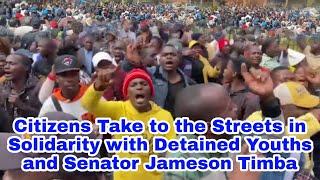 Court Update Zimbabwe citizens Protest After CCC Youths and Senator Jameson Timba Denied Bail