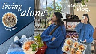living alone diaries  | grocery shopping + haul, cooking, running errands