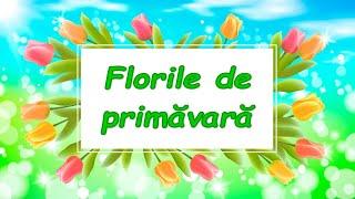 Florile de primăvară - prezentare  |  Cunoașterea mediului