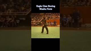 Eagle Claw Boxing. Contemporary WuShu #kungfu #martialarts #neuquen #wushu