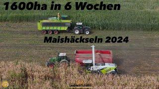 Maishäckseln 2024 Futter für die Biogasanlage LU J&J & LU Geiger Gemeinsam gegen 1600ha Mais