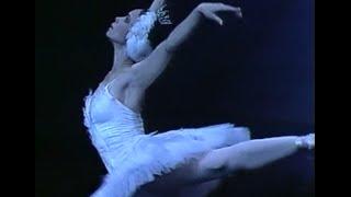 A Favourite Ballerina in Act 2 of ‘Swan Lake’