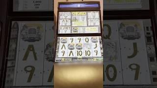 강원랜드 인기슬롯머신 시카고 3연타보너스 (36스핀) CHICAGO #casino #slot #slotmachine