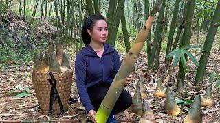 Harvest giant bamboo shoots and bring them to the market to sell and preserve dried bamboo shoots