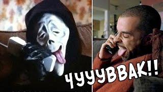 Вирусная реклама ЧУВАААК пива Будвайзер (полная коллекция)