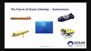 Ocean Sonics BIS Flashtalk