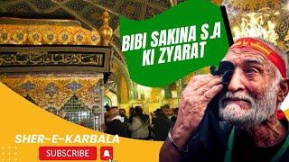 Sakina Bintul Hussain(as) || Shrine of Bibi Sakina (sa)  ki Zyarat #alihaq #maulahussain #karbala