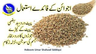 Ajwain ke fayde || Ajwain || Ajwain khane ke fayde || Ajwain benefits اجوائن کے فائدے