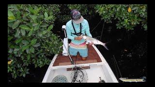 Backcountry Snook & Juvenile Tarpon Fishing : The Everglades