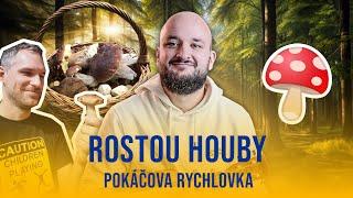 Rostou houby | POKÁČOVA RYCHLOVKA