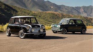 Origin of the Species: The History of the Classic Mini