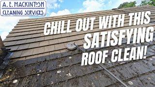 Chilled Out Roof Clean Satisfaction