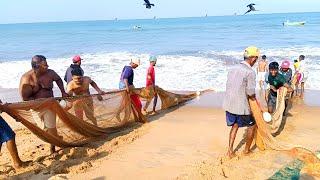 net fishing video in sri lanka.traditional fishing Woow  amazing skills Thanks