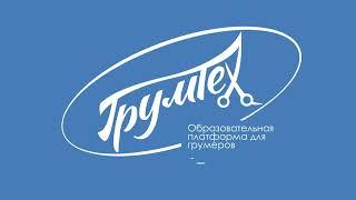 ГРУМ HD