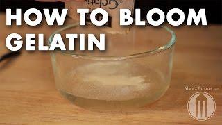 How to Bloom Gelatin - Tutorial Video